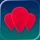 Placemarks icon