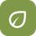 PlantSteady icon