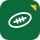 Playwrist icon