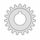 Pocket Norms icon