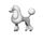Poodle icon