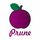 Prune - Find Your Best Mobile Recharge Plan icon