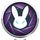 RabbitHole.cam icon