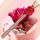 Rose Love Zipper Screen Lock icon