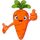 Send A Carrot icon