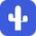SEO Cactus icon