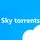 Skytorrents.in icon