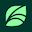 Spring Health icon