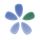 Subnota icon