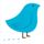 Tagwalk icon