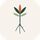Take Root Abroad icon