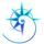 TarotSync icon