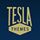 TeslaThemes icon