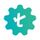Testsigma icon