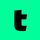 TikTok for Web icon