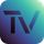 TinyView icon
