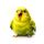 Tired Budgie icon