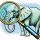 Tootfinder icon