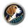 TradeBeagle icon