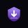 TransferSecure icon