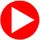 TVZion icon