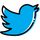 Twitter Card Validator icon