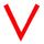 VeriPN Openvpn client for windows icon