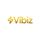 Vibiz icon