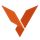ViraFlow icon