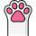 Viral Cat icon