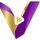 Visisona icon