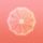 VitaCal icon