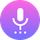 Voice Recorder by WebcamEffects icon