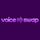 Voice-Swap icon