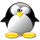 WinPenguins icon