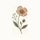 WishBloom icon