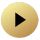 Witness21 icon