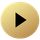 Witness21 icon
