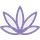 zenyogi icon