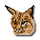 Lynx icon