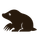 Mole icon