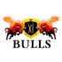 11 Bulls icon