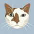 AbiPaint icon
