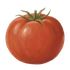 Accounting Ketchup icon