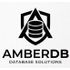 AmberDB icon