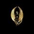 Amphiptere OS  icon