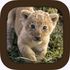 Animal Sounds icon