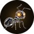 AntGlow icon