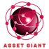 Asset Giant icon