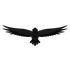 Astur icon